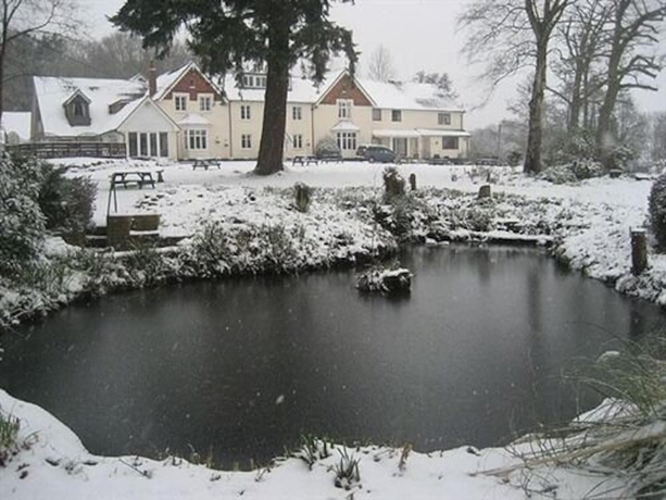 Imagen general del Hotel Leeford Place. Foto 3