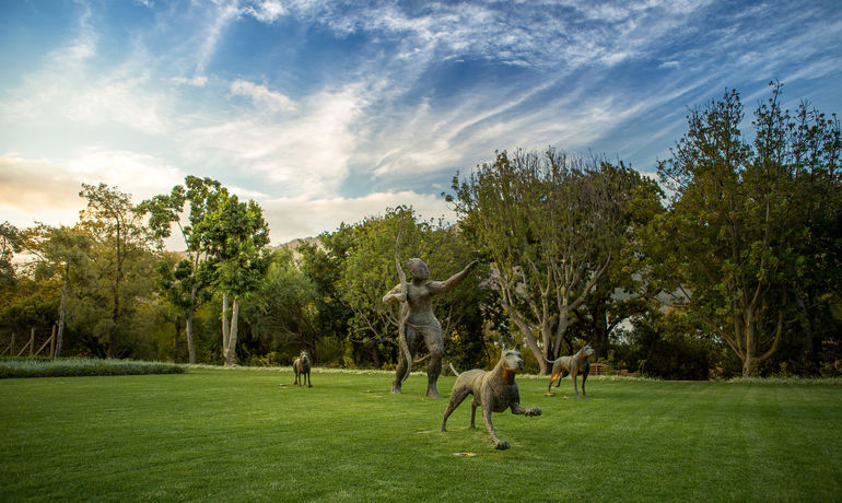 Imagen de los exteriores del Hotel Leeu Estates. Foto 12