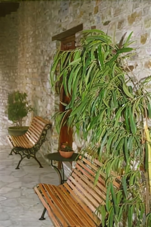 Imagen general del Hotel Lefkara. Foto 2