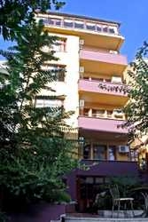 Imagen general del Hotel Legend, Fatih. Foto 6