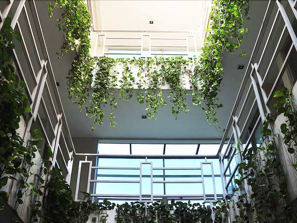 Imagen de la habitación del Hotel Legreen Suite Tondano. Foto 7
