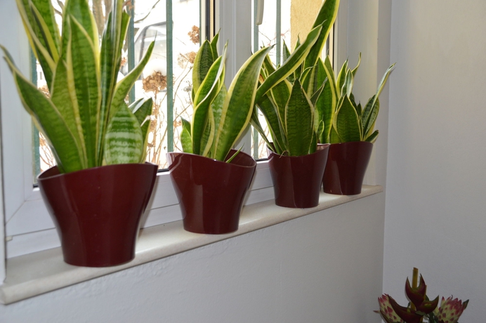 Imagen de los interiores del Hotel Lehenerhof Salzburg. Foto 16