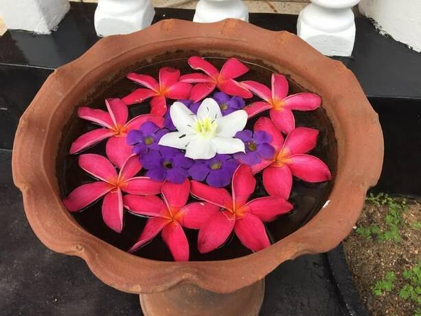 Imagen general del Hotel Leijay Garden Retreat. Foto 12