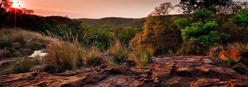 Imagen de los exteriores del Hotel Lejwe La Metsi Game Farm Pty Ltd. Foto 13