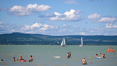 Imagen general del Hotel Lelle. Foto 15