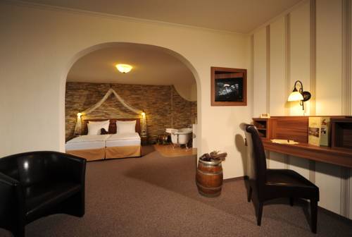 Imagen de la habitación del Hotel Lellmann. Foto 14