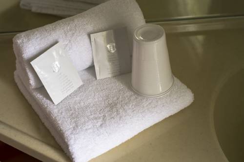 Imagen de la habitación del Hotel Lemon Saint Omer. Foto 9