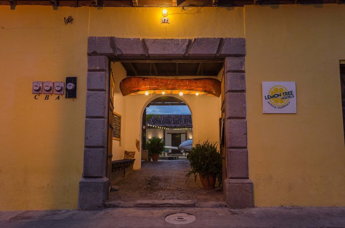 Imagen general del Hotel Lemon Tree Hostel. Foto 3