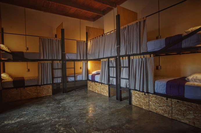 Imagen de la habitación del Hotel Lemon Tree Hostel. Foto 13