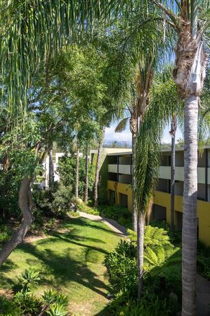 Imagen general del Hotel Lemon Tree Inn. Foto 1