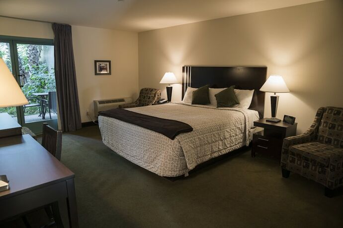 Imagen general del Hotel Lemon Tree Inn. Foto 3