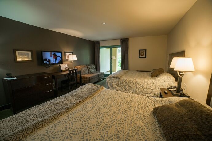 Imagen de la habitación del Hotel Lemon Tree Inn. Foto 11