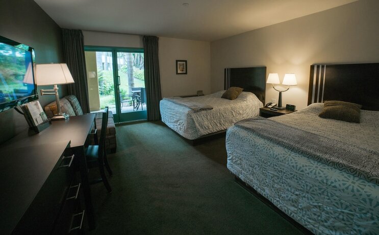 Imagen de la habitación del Hotel Lemon Tree Inn. Foto 12