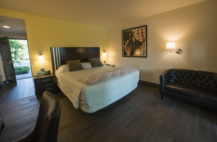 Imagen de la habitación del Hotel Lemon Tree Inn. Foto 14
