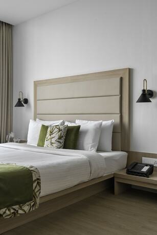 Imagen general del Hotel Lemon Tree Vadodra. Foto 13