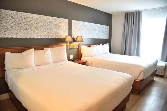 Imagen de la habitación del Hotel L'empress. Foto 8
