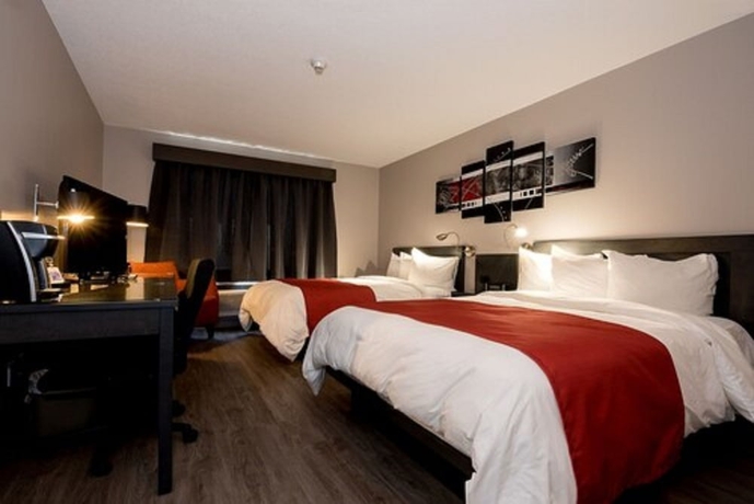 Imagen de la habitación del Hotel L'empress. Foto 17