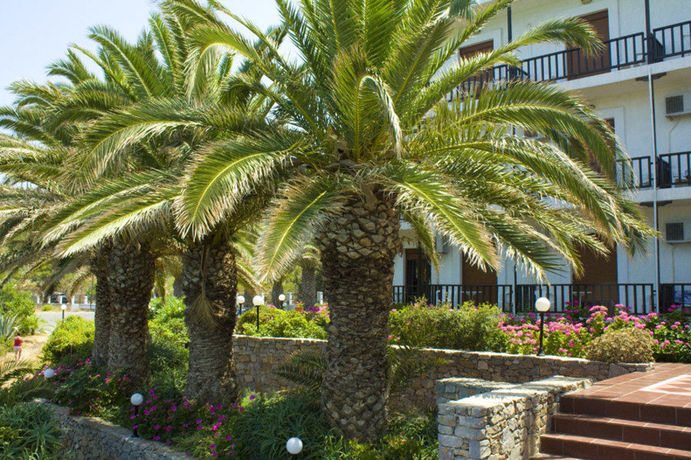 Imagen de la habitación del Hotel Lena Beach. Foto 5