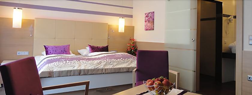Imagen de la habitación del Hotel Lenauhof. Foto 2