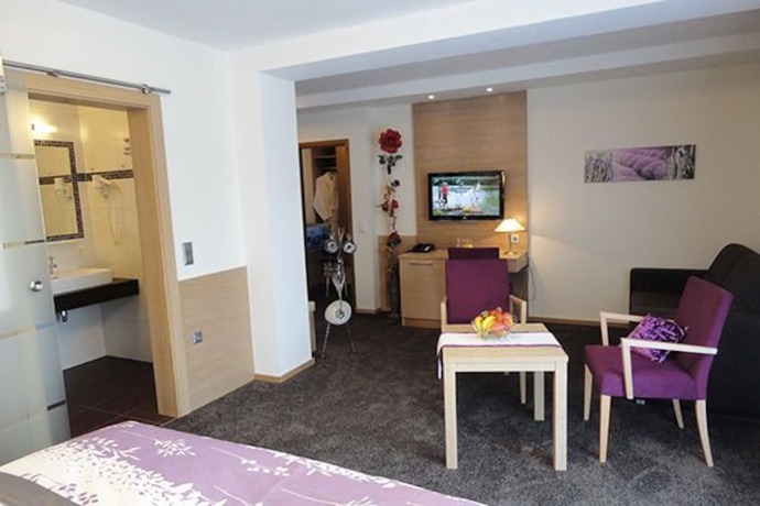 Imagen de la habitación del Hotel Lenauhof. Foto 3