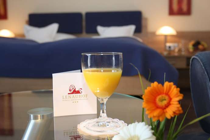 Imagen de la habitación del Hotel Lenauhof. Foto 6