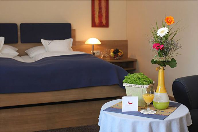 Imagen de la habitación del Hotel Lenauhof. Foto 7