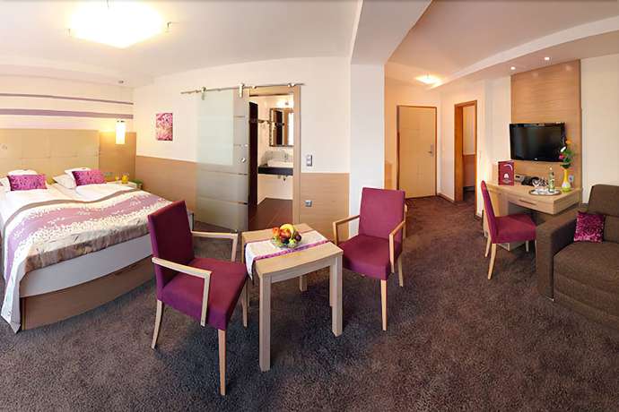 Imagen de la habitación del Hotel Lenauhof. Foto 8