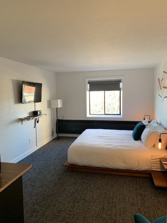 Imagen de la habitación del Hotel Leo, Bellingham. Foto 5