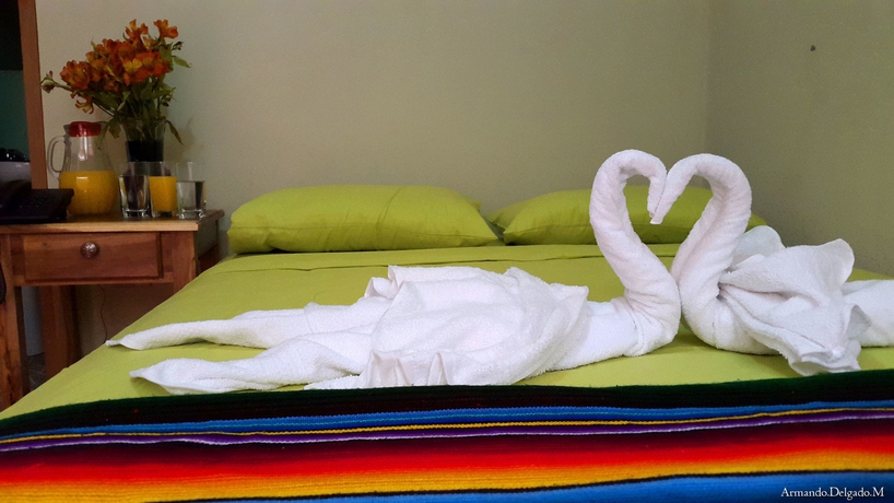 Imagen de la habitación del Hotel Leo y Pinita. Foto 5