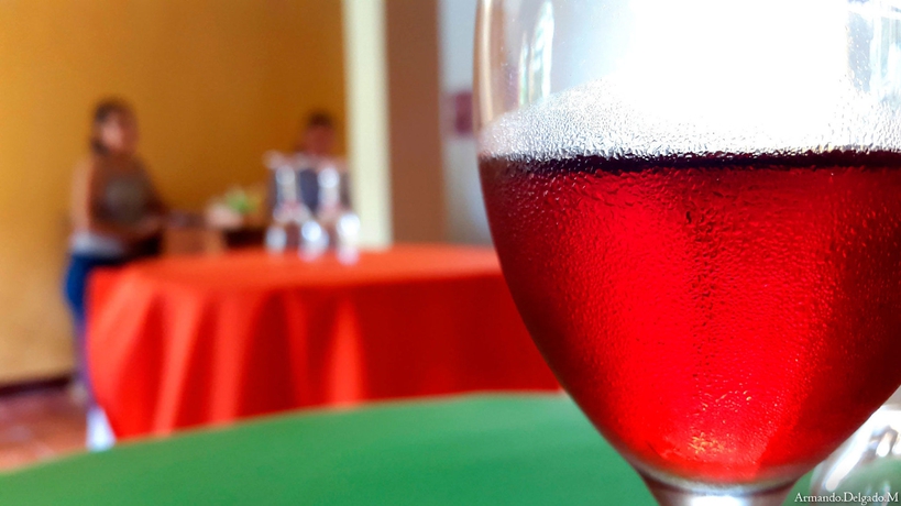 Imagen general del Hotel Leo y Pinita. Foto 2