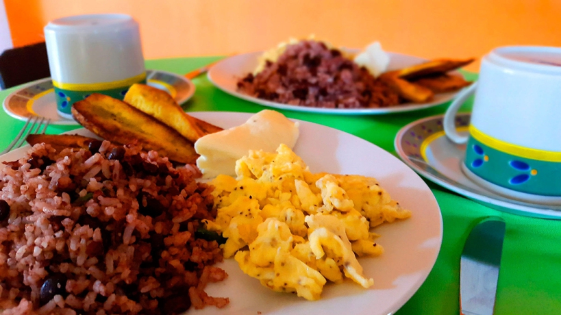 Imagen general del Hotel Leo y Pinita. Foto 3