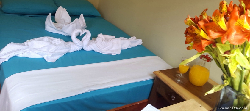 Imagen de la habitación del Hotel Leo y Pinita. Foto 13