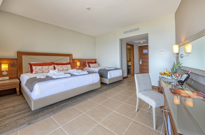 Imagen de la habitación del Hotel Leodikya Kirman Premium. Foto 3