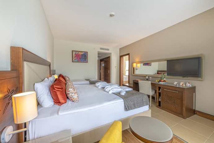 Imagen de la habitación del Hotel Leodikya Kirman Premium. Foto 9