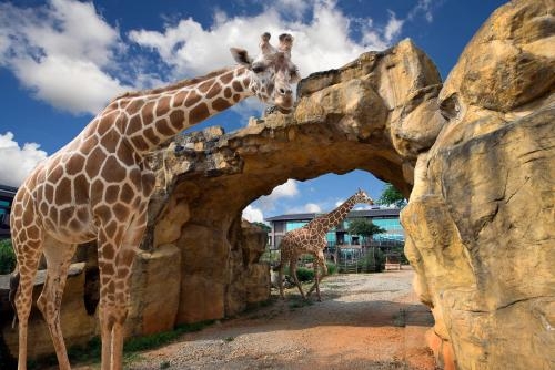 Imagen general del Hotel Leofoo Resort Guanshi. Foto 3