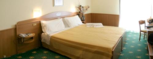 Imagen de la habitación del Hotel Leonardo Da Vinci Wellness SPA. Foto 6
