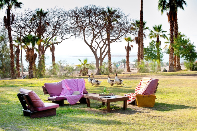 Imagen de los exteriores del Hotel Leonardo Inn Dead Sea. Foto 11