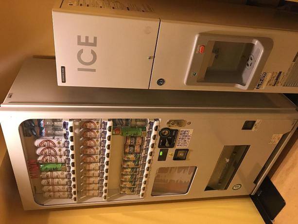 Imagen general del Hotel Leopalace, Asahikawa. Foto 2