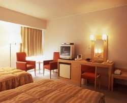 Imagen de la habitación del Hotel Leopalace. Foto 4