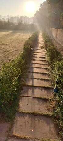 Imagen general del Hotel Leopard Valley Ranthambhore. Foto 4