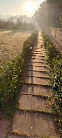 Imagen general del Hotel Leopard Valley Ranthambhore. Foto 7