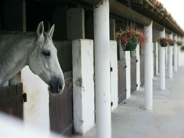 Imagen de los interiores del Hotel Les Bains Gardians. Foto 15