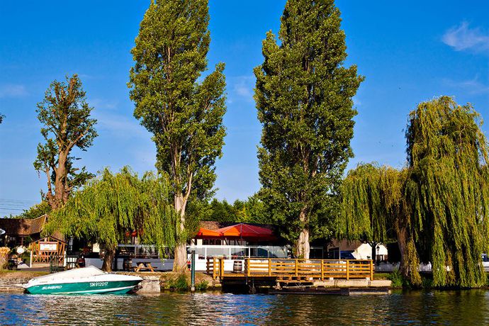 Imagen del bar/restaurante del Hotel Les Canisses. Foto 5