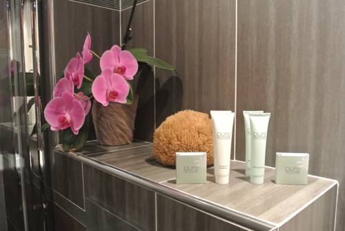 Imagen de la habitación del Hotel Les C&egrave;dres - H&ocirc;tel - Restaurants - Spa. Foto 8