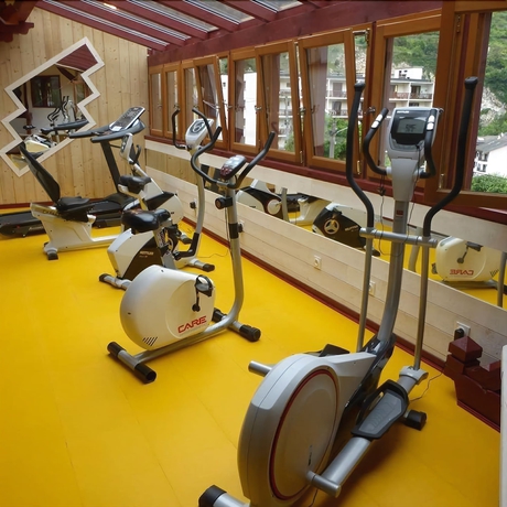 Imagen de los interiores del Hotel Les Chalets. Foto 8