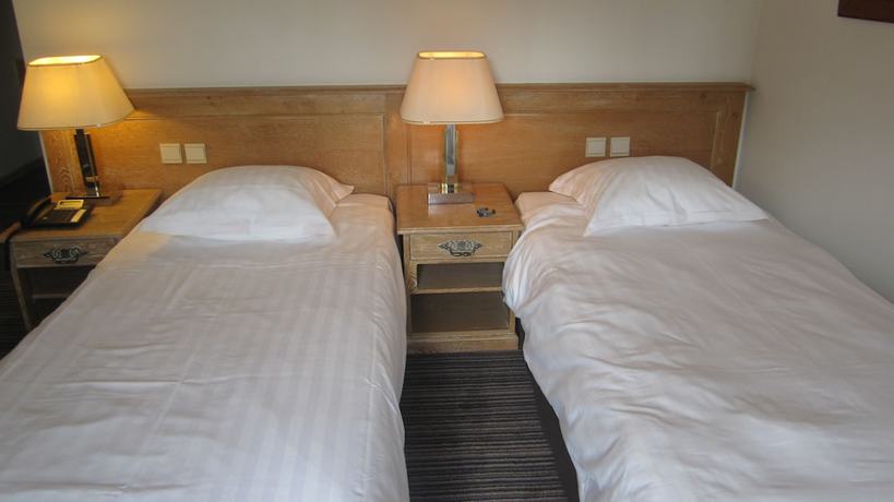 Imagen de la habitación del Hotel Les Eleveurs. Foto 11