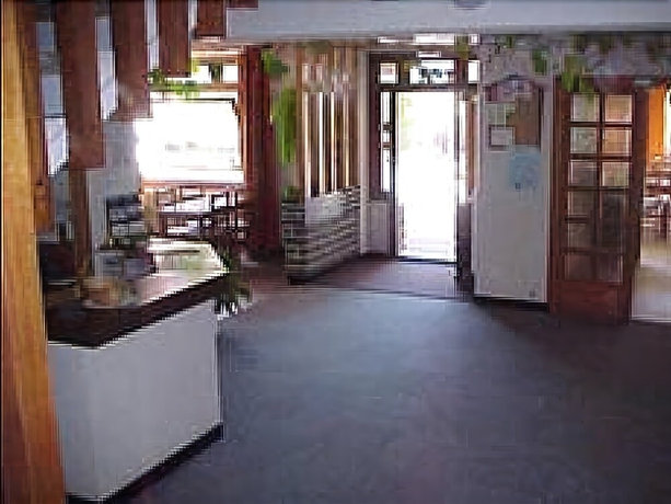 Imagen de los interiores del Hotel Les Fleurs. Foto 10