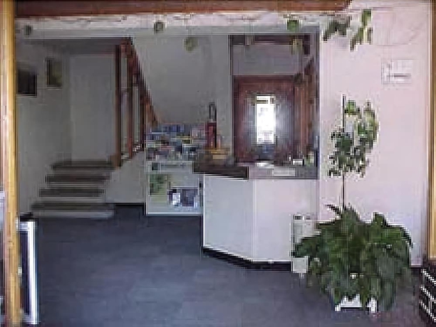 Imagen de los interiores del Hotel Les Fleurs. Foto 11