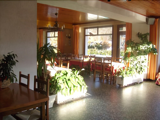 Imagen del bar/restaurante del Hotel Les Fleurs. Foto 6