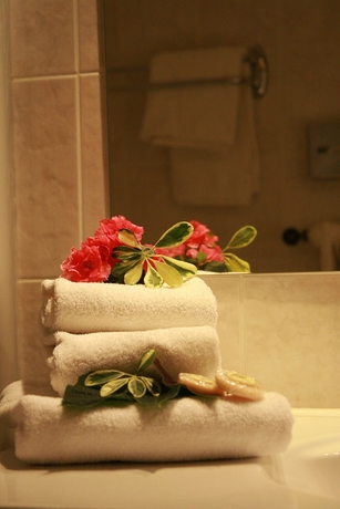 Imagen de la habitación del Hotel Les Flocons. Foto 17